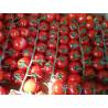 Tomate cerise grappe kg