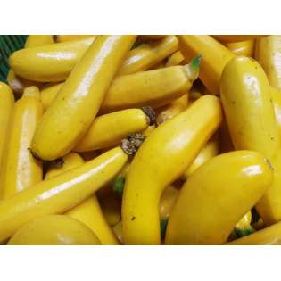 Courgettes Jaunes (1 kg)