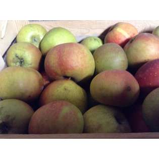 Pommes Boskoop (1 kg)