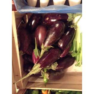 Aubergine de la ferme