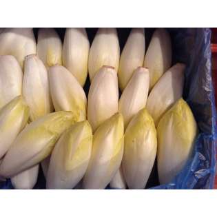 Endive (1 kg)