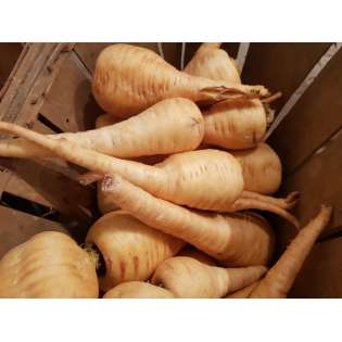 Panais (1 kg)