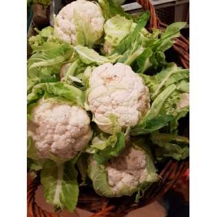 Chou Fleur (1 pièce)