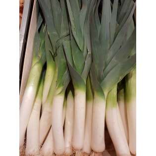 Poireau (1 kg)