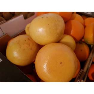 Pamplemousse